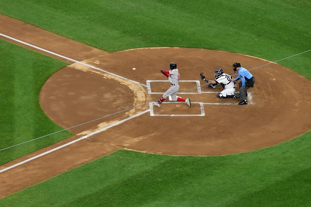 视野逐渐赢 视野逐渐赢