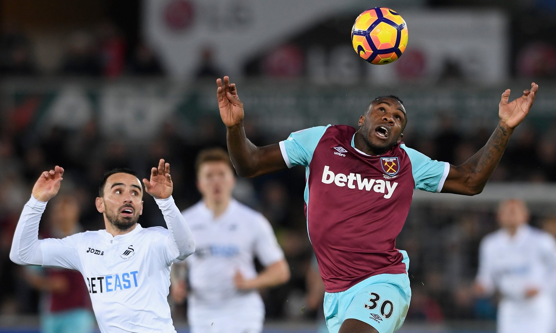 背后丰富的 背后丰富的